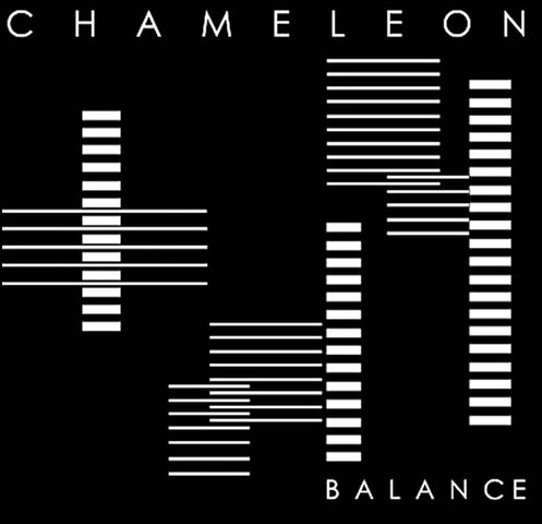chameleon balance.jpg