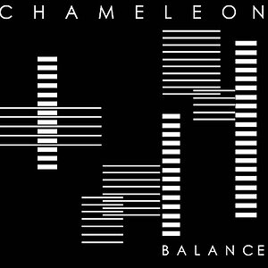 chameleon balance.jpg